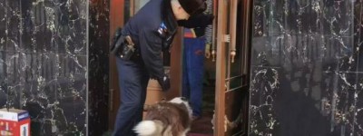 群众爱犬“离家出走” 民警暖心帮助寻回