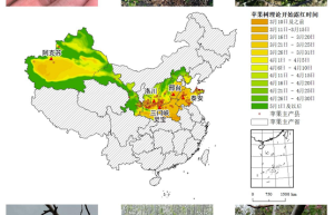 农业农村部信息中心与佳格天地联合发布2020年全国主产区苹果花期冻害预警分析