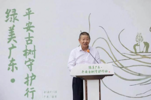 中国平安发布“绿美广东·平安古树守护行动” 为广东古树名木提供超2600万风险保障