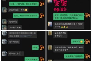 冰城护游进行时  松北公安全力守护游客“身份”无忧